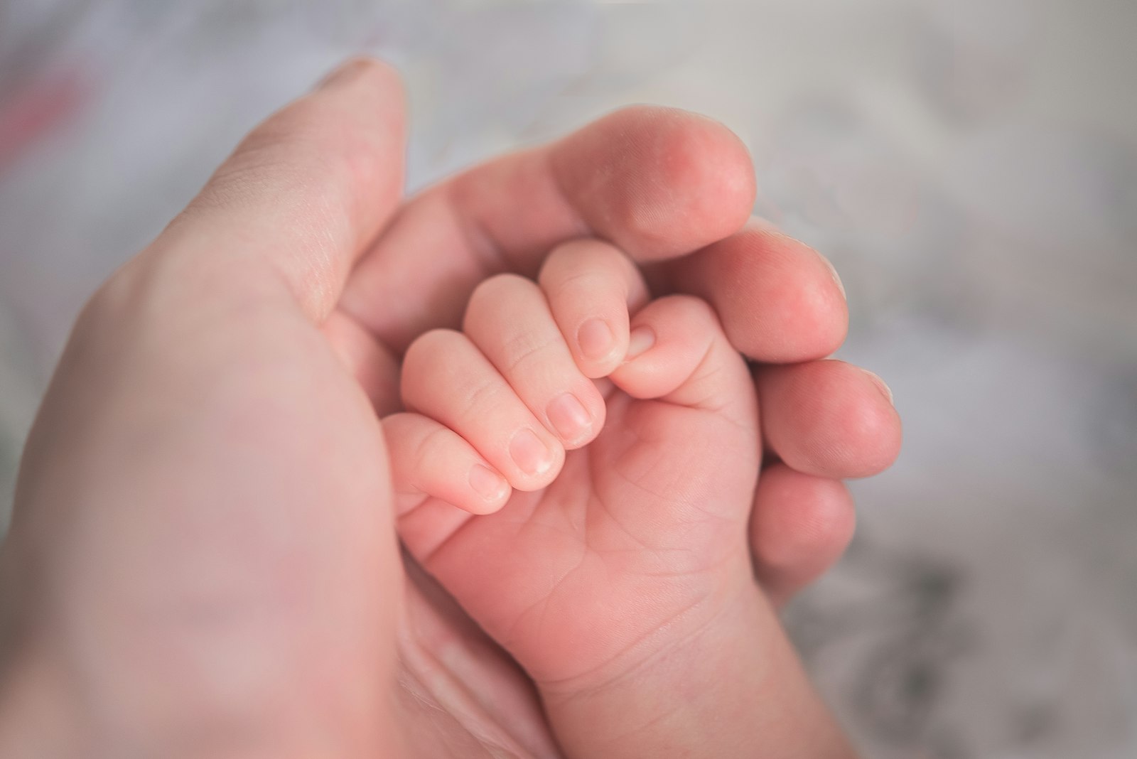An adult hand gently holding a baby's hand